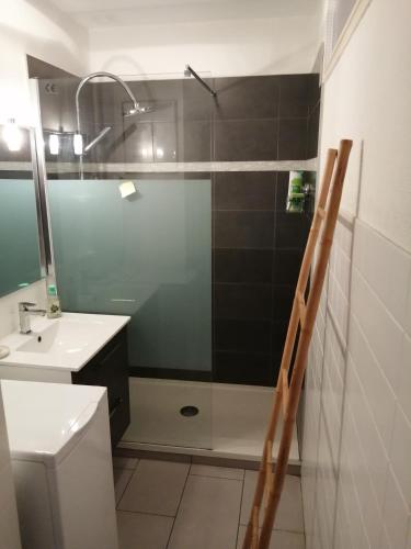une salle de bain avec une douche, un lavabo et un miroir dans l'établissement '' Sète à Vous'', à Sète