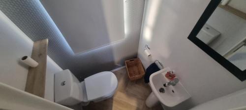 a small bathroom with a white toilet and a sink at Lynton lodges ATLAS in Evanton