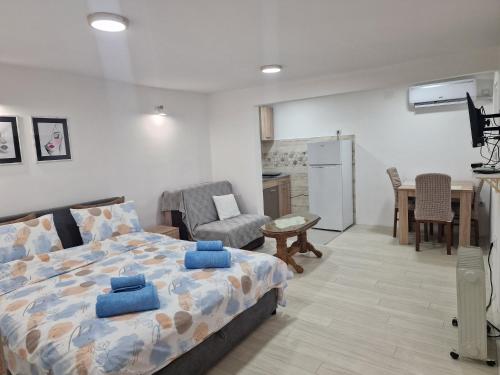 Kuchyň nebo kuchyňský kout v ubytování Zed apartmani Leskovac