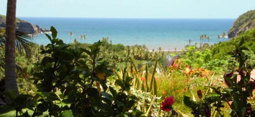 a garden with the beach in the background at Vacation Suites in Micoud