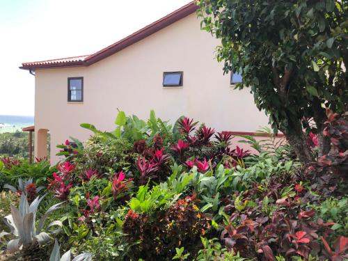 a garden of flowers in front of a house at Vacation Suites in Micoud