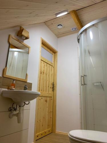 a bathroom with a sink and a shower at Agroturystyka Łazory nad Tanwią in Łazory