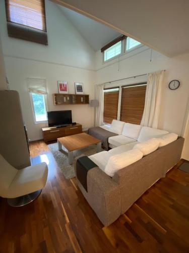 伊馬特拉的住宿－Saimaa Houses，带沙发和电视的客厅