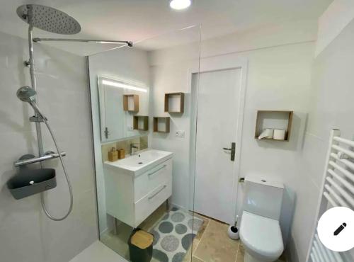 een witte badkamer met een douche en een toilet bij La Maison de Patricia in Aramon