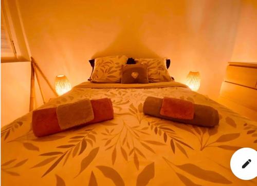 een bed met twee kussens in een slaapkamer bij La Maison de Patricia in Aramon