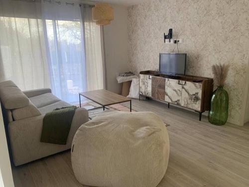 a living room with a couch and a tv at Maison By Sana proche du lac in Châtellerault