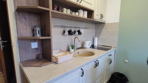 eine kleine Küche mit einer Spüle und einer Theke in der Unterkunft Goldview Apartmani in Zlatibor