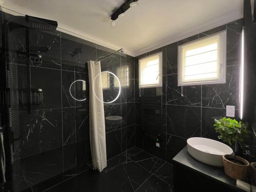 Baño negro con ducha y lavabo en Douceur champenoise en Dizy