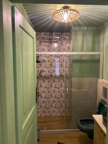 uma casa de banho com um chuveiro e uma porta de vidro em HOUSE KA TEKKE ROOM em Çanakkale