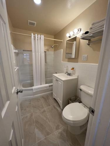 a bathroom with a toilet and a sink and a shower at Beachside Resort Motel in St. Pete Beach