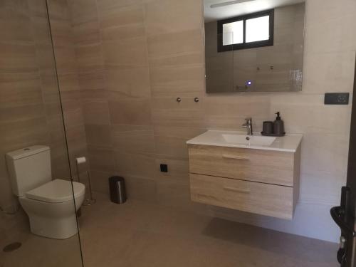 ein Badezimmer mit einem WC, einem Waschbecken und einem Spiegel in der Unterkunft Höhlenapartment in Güímar