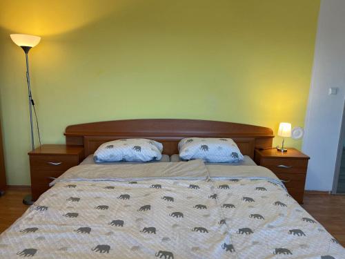 Gallery image of Village House - Stajnko in Sveti Jurij ob Ščavnici