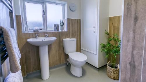 a bathroom with a toilet and a sink and a window at Ty Cwyfan in Aberffraw