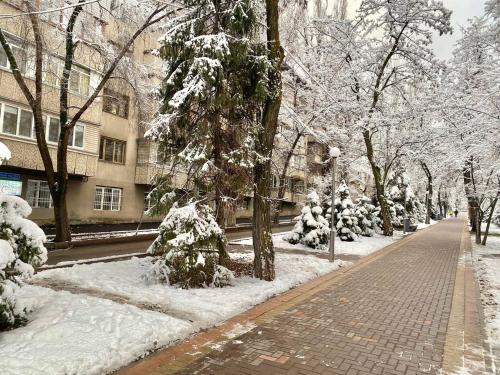 a sidewalk covered in snow next to a building at Alma-Ata Hostel in Almaty