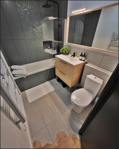 une salle de bain avec des toilettes blanches et un lavabo dans l'établissement Le Berbiz Dijon centre ville, à Dijon