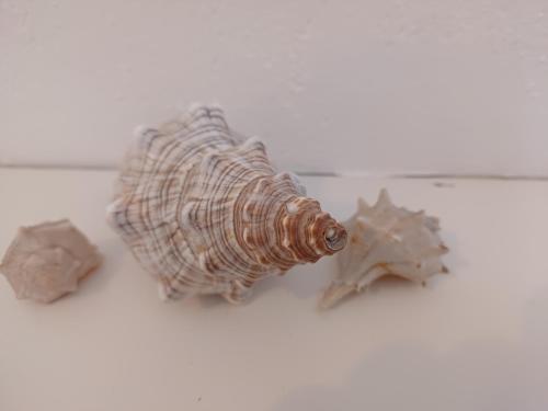 Imagen de la galería de In Vacanza a Gaeta - MariNella, en Gaeta