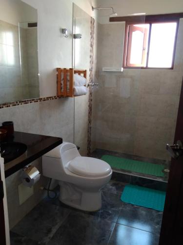 a bathroom with a toilet and a sink and a mirror at Hotel El Peregrino De La Villa in Villa de Leyva