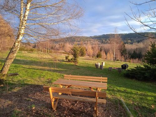 a wooden bench sitting in a field with a tree at Srub Javorná - apartmány Šumava in Javorná