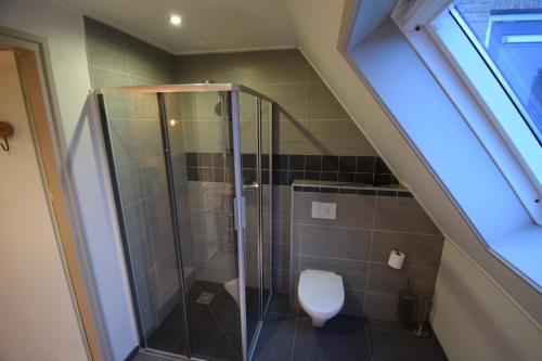 a bathroom with a shower and a toilet at Hotelkamer de Loft in Anjum