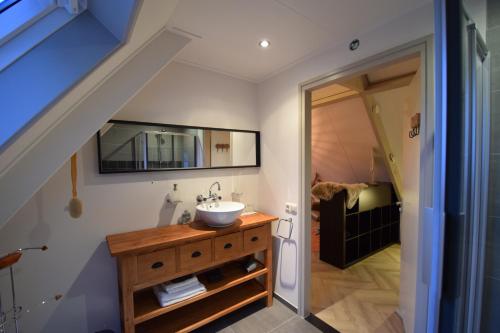 a bathroom with a sink and a mirror at Hotelkamer de Loft in Anjum