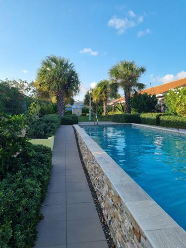 a swimming pool in a resort with palm trees at Blije Rust in Blue Bay