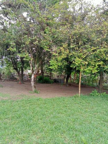 a group of trees in a park with grass at Vacation home Bellavista in Santo Domingo de los Colorados