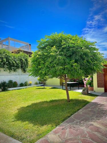 Casa Kuyen – Photos 3