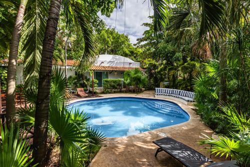 a swimming pool in a yard with palm trees at Villas Xaguar by PlayaSky in Playa del Carmen