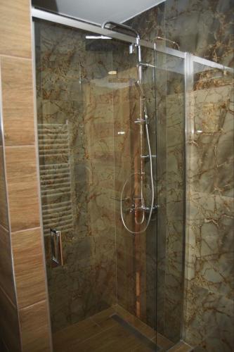 a shower with a glass door in a bathroom at Planinska kuća Srna in Bajina Bašta