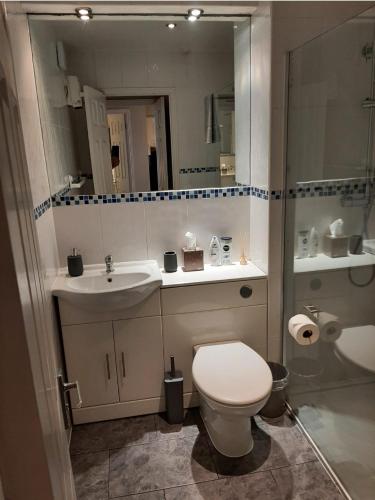 a bathroom with a toilet and a sink and a mirror at Two bedroom modern flat near central London in London