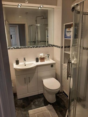 a bathroom with a toilet and a sink and a shower at Two bedroom modern flat near central London in London
