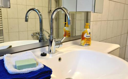 a bathroom sink with a soap dispenser and a mirror at Ferienwohnung "Erika" Rees am Niederrhein in Rees