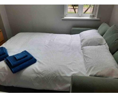 Modern two bed flat in Canada Water close to transport في لندن: سرير ووسادتين زرقاوين عليه
