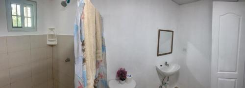 a white bathroom with a shower and a sink at Tortuga Hostal in Pedregal