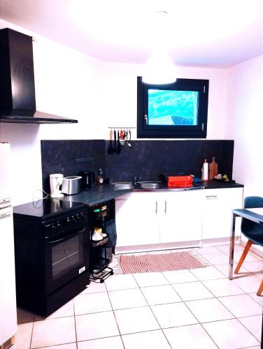 Kuchyň nebo kuchyňský kout v ubytování Grand et bel appartement classé 3 étoiles