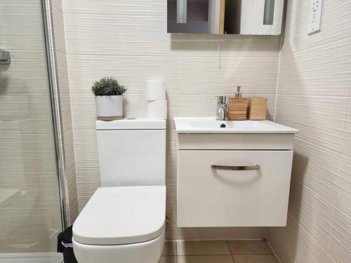 a bathroom with a toilet and a sink at Horizon House, Luxury 2-Bedroom Flat 3 in Oxford