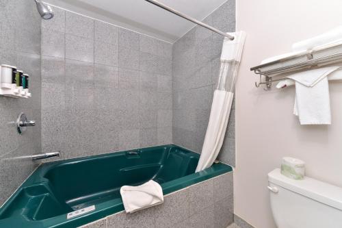 a bathroom with a green sink and a toilet at Canadas Best Value Inn Valemount in Valemount