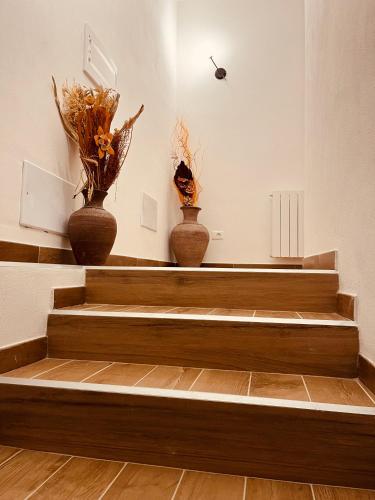 two vases with flowers in them sitting on the stairs at Sa domo de ziu Pedru in Sennori