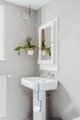a bathroom with a sink and two potted plants at Huis Hector Mechiels ROOM in Sint-Niklaas