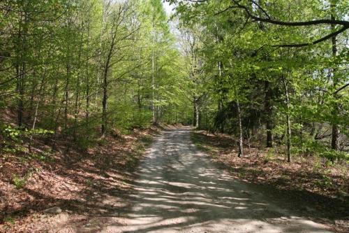 Φωτογραφία από το άλμπουμ του Porąbka - nocleg w urokliwym miejscu σε Porąbka