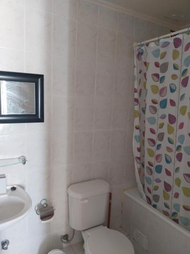 a bathroom with a toilet and a sink and a shower curtain at Departamento Playa Pto Montt in Puerto Montt