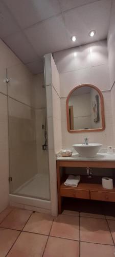 a bathroom with a sink and a shower with a mirror at Hostal El Lechuguero in Cascante