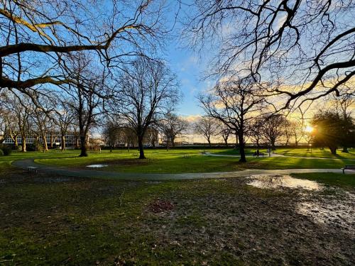 a park with trees and a path in the grass at Seafarers Stays in Southampton