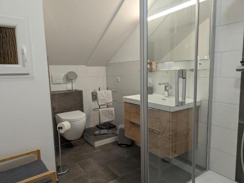 a bathroom with a sink and a toilet at Ferienwohnung Storchennest in Itzgrund-Kaltenbrunn in Kaltenbrunn