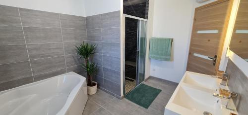 uma casa de banho com uma banheira e um vaso de plantas em Le cocon des bois em Martigues