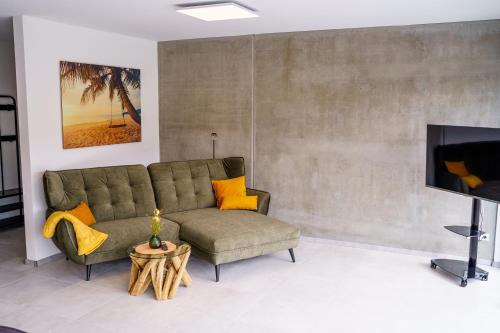 a living room with a couch and a tv at MV Römervilla, Lofts & Penthouses mit traumhaftem Moselpanoramablick und Sauna in Treis-Karden