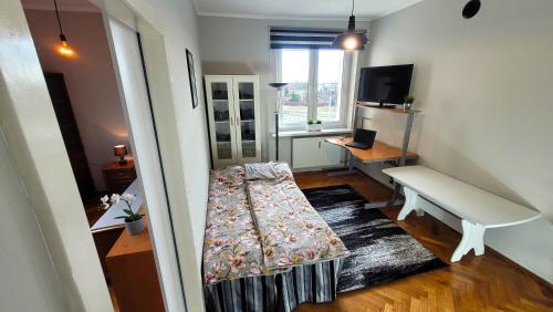 Televízia a/alebo spoločenská miestnosť v ubytovaní APARTAMENT NAD STAWEM
