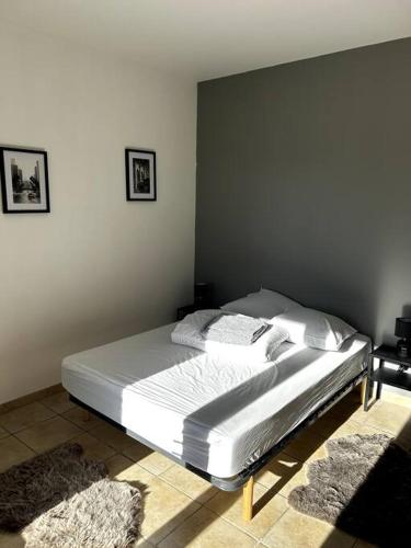 een slaapkamer met een groot bed in een kamer bij Superbe appartement dans un mas in Nîmes
