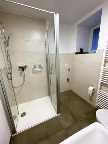 a shower with a glass door in a bathroom at Harzhaus Drei Hexen in Tanne
