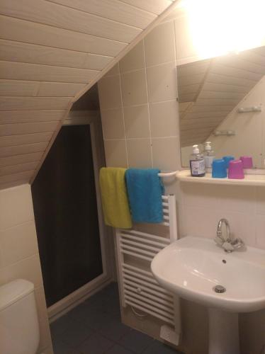 une salle de bain avec un lavabo et des toilettes dans l'établissement Charmant Appartement, à Saint-Malo